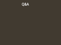 Q&A